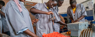 Transitioning Vocational Education and Training in Africa